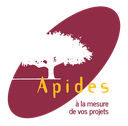 Apides